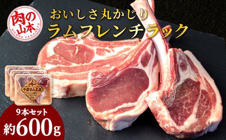 骨付きラムフレンチラック9本セット[肉の山本] お肉 肉 にく ニク 羊肉 らむ ラム肉