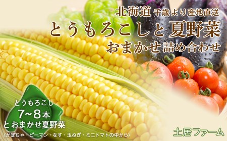 2025年夏発送 とうもろこしと夏野菜 おまかせ 詰め合わせセット[土居ファーム]