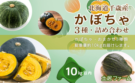 2024年 秋発送 かぼちゃ 3種 詰め合わせ 計10kg[ 土居ファーム ] 野菜 カボチャ 南瓜 食べ比べ 千歳 北海道