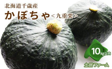 2024年 秋発送 かぼちゃ [ 九重栗 ]10kg[ 土居ファーム ] 野菜 カボチャ 南瓜 食べ比べ 千歳 北海道