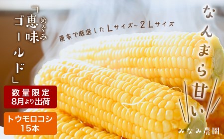 なんまら甘くて食べやすい!2025年8月より出荷!「恵味ゴールド」15本セット 恵味 ゴールド とうもろこし トウキビ 野菜 北海道 千歳 北海道ふるさと納税 千歳市 ふるさと納税 北海道千歳市