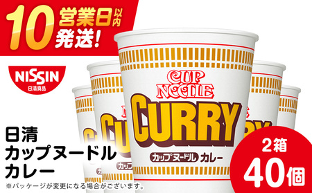 10営業日以内発送 日清★カレーヌードル★2箱 合計40食 麺類 ラーメン 即席麺 麺類 ラーメン カップ麺 インスタント 麺類 カップラーメン
