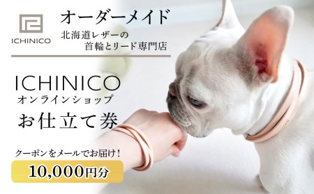 ICHINICOICVbv dČ10,000~ ybg {v  V_[[h qD`[J[  L I[_[Ch qD O  C`jR kCӂ邳Ɣ[ Ύs ӂ