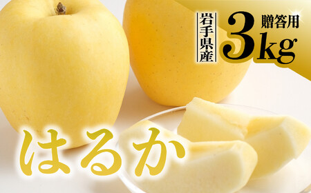 [先行予約][希少品種]令和6年産 りんご はるか 贈答用 3kg (9〜11玉) 12月上旬発送予定 希少 人気 数量限定 お試し 甘い 旬 果物 リンゴ フルーツ 林檎 岩手県 金ケ崎町