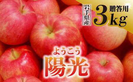 [先行予約][希少品種]令和6年産 りんご 陽光 贈答用 3kg (9〜11玉) 10月上旬発送予定 希少 数量限定 人気 お試し 甘い 旬 果物 リンゴ フルーツ 林檎 岩手県 金ケ崎町