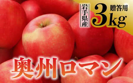 [先行予約][希少品種]令和6年産 りんご 奥州ロマン 贈答用 3kg (9〜11玉) 10月中旬発送予定 数量限定 希少 人気 お試し 甘い 旬 果物 リンゴ フルーツ 林檎 岩手県 金ケ崎町