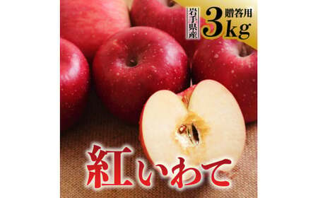 [先行予約]令和6年産 りんご 紅いわて 贈答用 3kg (9〜11玉) 9月下旬発送予定 数量限定 人気 お試し 甘い 旬 果物 リンゴ フルーツ 林檎 岩手県 金ケ崎町