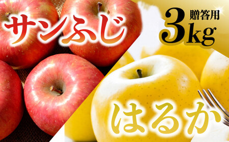 [先行予約][希少品種]令和6年産 りんご サンふじ はるか セット 贈答用 3kg (9〜11玉) 11月下旬発送予定 数量限定 希少 人気 お試し 甘い 旬 果物 リンゴ フルーツ 林檎 岩手県 金ケ崎町