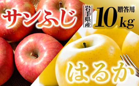 [先行予約][希少品種]令和6年産 りんご サンふじ はるか セット 贈答用 10kg (28〜36玉) 11月下旬発送予定 数量限定 希少 人気 お試し 甘い 旬 果物 リンゴ フルーツ 林檎 岩手県 金ケ崎町