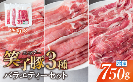 [お試し]豚肉 小分け 真空パック 冷凍 スライス肉 3種 バラエティーセット 750g (250g×3袋) 笑子豚 バラ ロース 肩ロース 高級 岩手県 金ケ崎町