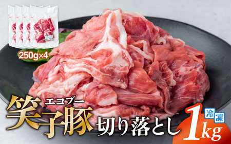 豚肉 切り落とし 小分け 1kg (250g×4) 真空パック 冷凍 笑子豚 岩手県 金ケ崎町