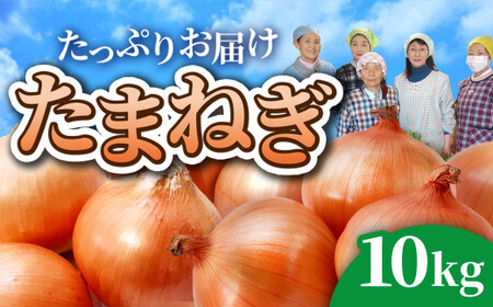 [ 先行予約 ]たまねぎ 10kg(28個程度) 訳あり M L サイズ 不揃い バラバラ 令和7年7月〜10月発送 皮剥け 生食 常温 長期保存 金ケ崎町産 タマネギ オニオン 玉葱