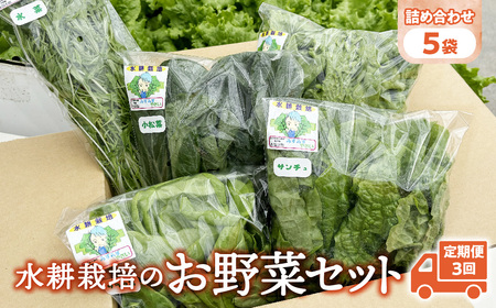 【定期便3回】【水耕栽培】野菜 詰め合わせ 合計 5袋 ( レタス チンゲン菜 小松菜 山東菜 水菜 わさび菜 ） 3 ～ 5 種類 