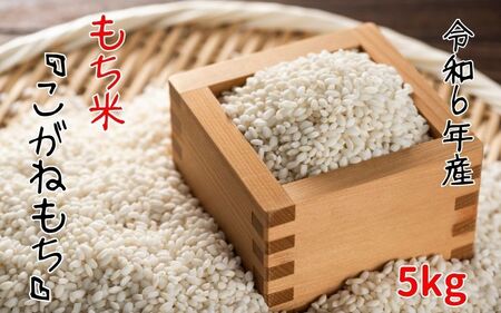 [令和6年産]平泉町産 もち米 こがねもち 5kg / お米 こめ もちごめ 令和6年 産地直送 国産 もち米の王様 年末 お正月 餅つき お餅 お雑煮 ぞうに お赤飯 おはぎ ぼたもち ギフト プレゼント 贈答 お祝い お返し[com008-06]