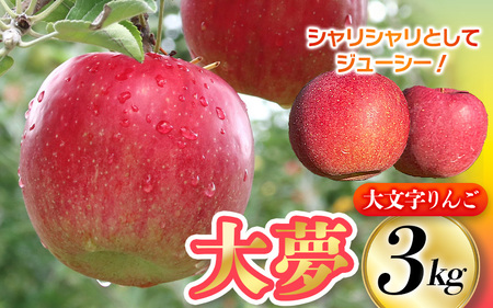 [令和6年度分予約受付]大文字りんご園 大夢(おおゆめ) 約3kg (7〜10玉) [2024年11月10日頃より順次発送]/りんご りんご リンゴ リンゴリンゴ リンゴ[dma513-l-oy-3]