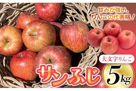 [令和6年度分予約受付]大文字りんご園 サンふじ 小玉サイズ 約5kg (約20玉)[2024年12月上旬より順次発送]/りんご りんご リンゴ リンゴリンゴ リンゴ[dma513-sf-5A]