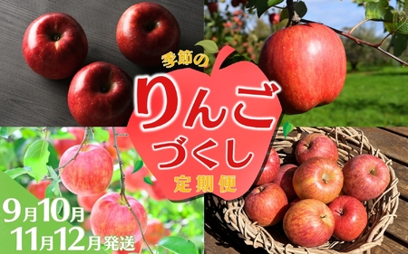 [令和7年度予約受付] りんご 定期便 大文字りんご園 季節の りんご づくし 定期便 紅いわて サン北斗 大夢 サンふじ ※離島配送不可 /[dma513-set-3x4B]