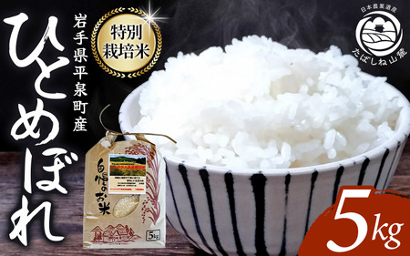 7-14日以内発送!![令和6年産新米] 平泉町産 特別栽培米ひとめぼれ 5kg 農薬50%削減 体に優しい 棚田のお米 [米 お米 ひとめぼれ 平泉 米 白米 こめ 岩手 東北 日本農業遺産][mih400-hito-5C-711]