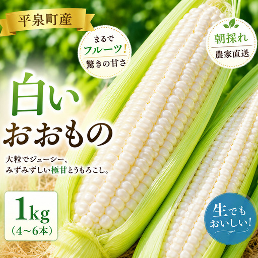 [7月下旬〜8月上旬発送] 平泉町産 白い おおもの とうもろこし 1kg (4〜6本) / トウモロコシ 野菜 やさい 甘い [配送不可地域:九州/沖縄県/離島][ipo001]