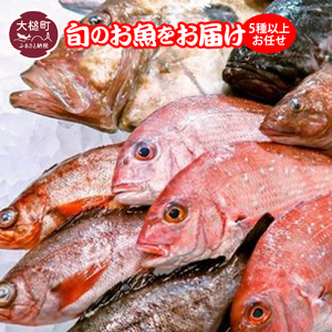 [5種以上お任せ]期間限定5月〜12月中旬発送 旬のお魚をお届け