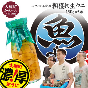 【令和7年4月下旬～8月発送先行予約】朝獲れ 生うに 牛乳瓶 150g×5本【08】【2025年4月下旬～8月発送】