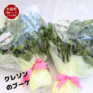 yԌ10`12z˂N\2i350g×2j