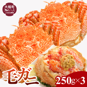 三陸産 三陸活毛ガニ 250g×3杯[05][期間限定3月〜4月発送]天然 国産 冷蔵 三陸直送 濃厚 かに 蟹 カニ 毛ガニ 毛蟹 毛がに