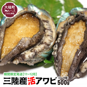 三陸産 活アワビ 約500g ( 3〜4個)[期間限定]|11月〜12月発送 冷蔵 岩手県 大槌町 あわび 人気 鮑 いわて iwate 2024[配送日・曜日指定不可]