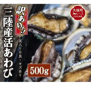 ※訳あり※ 三陸産 活アワビ 約500g ( 3〜5個)[数量限定]|11月〜12月発送 冷蔵 三陸 岩手県 大槌町 あわび 人気 鮑 いわて iwate 2024 魚貝 鮮度抜群[配送日・曜日指定不可]