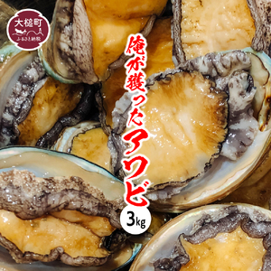 [2026年11月〜12月発送]アワビ 約3kg (20個前後) ※アワビヘラ&軍手付き※[期間限定][35]|冷蔵 三陸 岩手県 大槌町 あわび 人気 鮑 刺身 いわて iwate 2026 初栄丸
