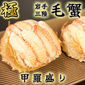 y2026N2{蔭zуKjb1l100`130g×2l iv200`260gxj