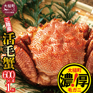 【令和8年発送】三陸産！活毛ガニ600g×1杯【08】【2026年2月～4月発送】