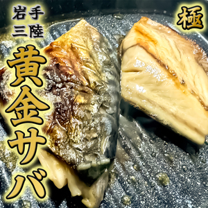 [黄金熟成] 塩さば 個包装 約60g×16切 計約960g