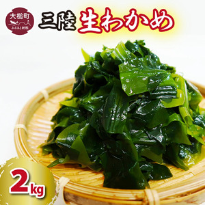 生わかめ2kg(1kg×2パック)[3月末〜4月発送]