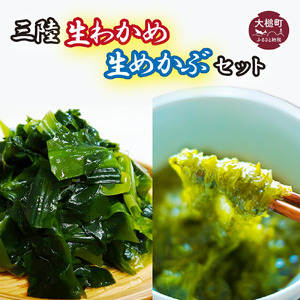 生めかぶと生わかめのセット 3kg(めかぶ1kg/わかめ2kg)[3月末〜4月発送]