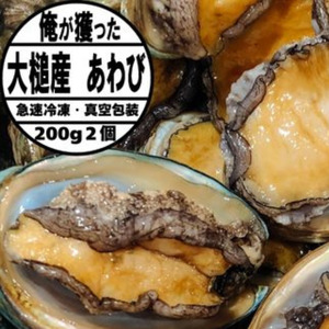 [2026年11月〜発送]アワビ 200g相当×2個[冷凍][期間限定][35]|三陸 岩手県 大槌町 あわび 人気 鮑 刺身 いわて iwate 2026 初栄丸
