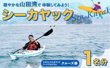 山田湾シーカヤック クルーズ券 1名分[ジオトレイル カヤック フードプログラム]三陸山田 山田町 海 釣り 体験 マリンスポーツ マリンツーリズム マリンレジャー Geotrail EFRICA APIA YD-678