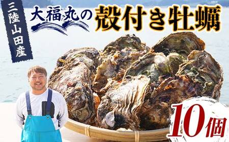 大福丸の殻付き牡蠣 10個 [三陸山田産][沖縄・離島配送不可]三陸山田 山田町 山田湾 海産品 かき YD-720