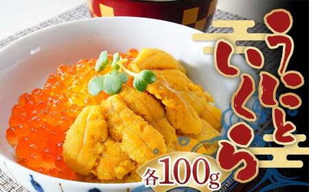 川秀のウニ&イクラセット(各100g×1パック) 三陸山田 山田町 ウニ 雲丹 海産品 通年 沖縄離島配送可 冷凍ウニ 冷凍イクラ 醤油イクラ YD-754