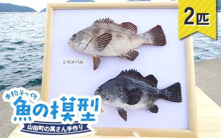 萬さん手作り、本物そっくり魚の模型 2点 三陸山田産 山田町 山田湾 工芸品 職人 匠 YD-936