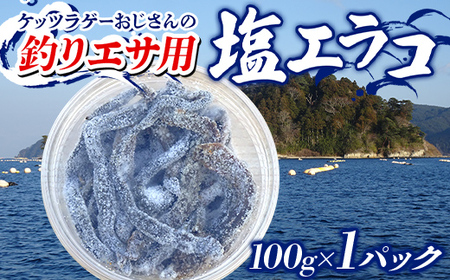 釣りエサ 用 塩エラコ 100g×1パック 釣り用エサ 環形動物 岩手県 三陸山田 山田町