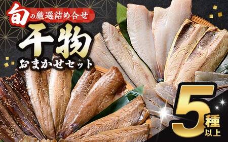 旬の干物 5種以上 おまかせセット 佐々木商店 干物 セット 詰合せセット 食べ比べ 岩手 三陸 山田町 職人仕込み 旬の魚 冷凍 焼くだけ お楽しみ 子供向け
