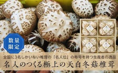 岩手県山田町のふるさと納税でもらえる返礼品の返礼品一覧 | ふるさと