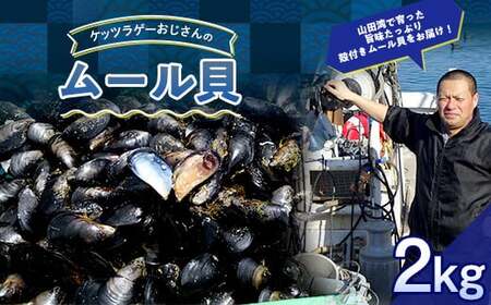 ケッツラゲーおじさんのムール貝 2kg しゅうり貝[沖縄県・離島配送不可 配送日指定不可] YD-619