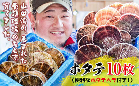 明神丸かき・ほたてきちのホタテ(大)10枚セット[配送日指定不可] 三陸山田 岩手県山田町 山田湾 海産品 帆立 ほたて ホタテ 生食可 二枚貝