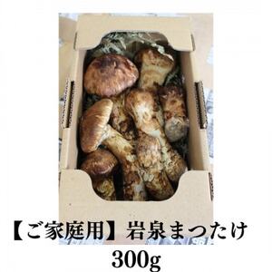 【訳あり】ご家庭用 岩泉まつたけ 直送 300g【配送不可地域：離島】【1423400】