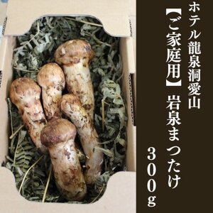 【訳アリ】 岩泉まつたけ  300g　家庭用にどうぞ【配送不可地域：離島】【1423709】