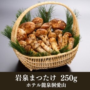 ≪産地直送≫　岩泉まつたけ 250g【配送不可地域：離島】【1423712】