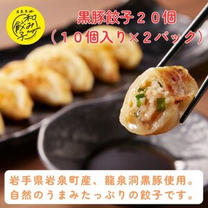 [岩泉黒豚 和み餃子]岩手県岩泉町産 龍泉洞黒豚使用の手包み餃子 20個_惣菜・加工品 餃子 ぎょうざ ギョウザ_[配送不可地域:離島]