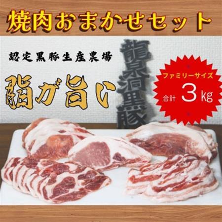 龍泉洞黒豚おまかせ焼肉セット　3kg(3000g)【配送不可地域：離島】【1618820】